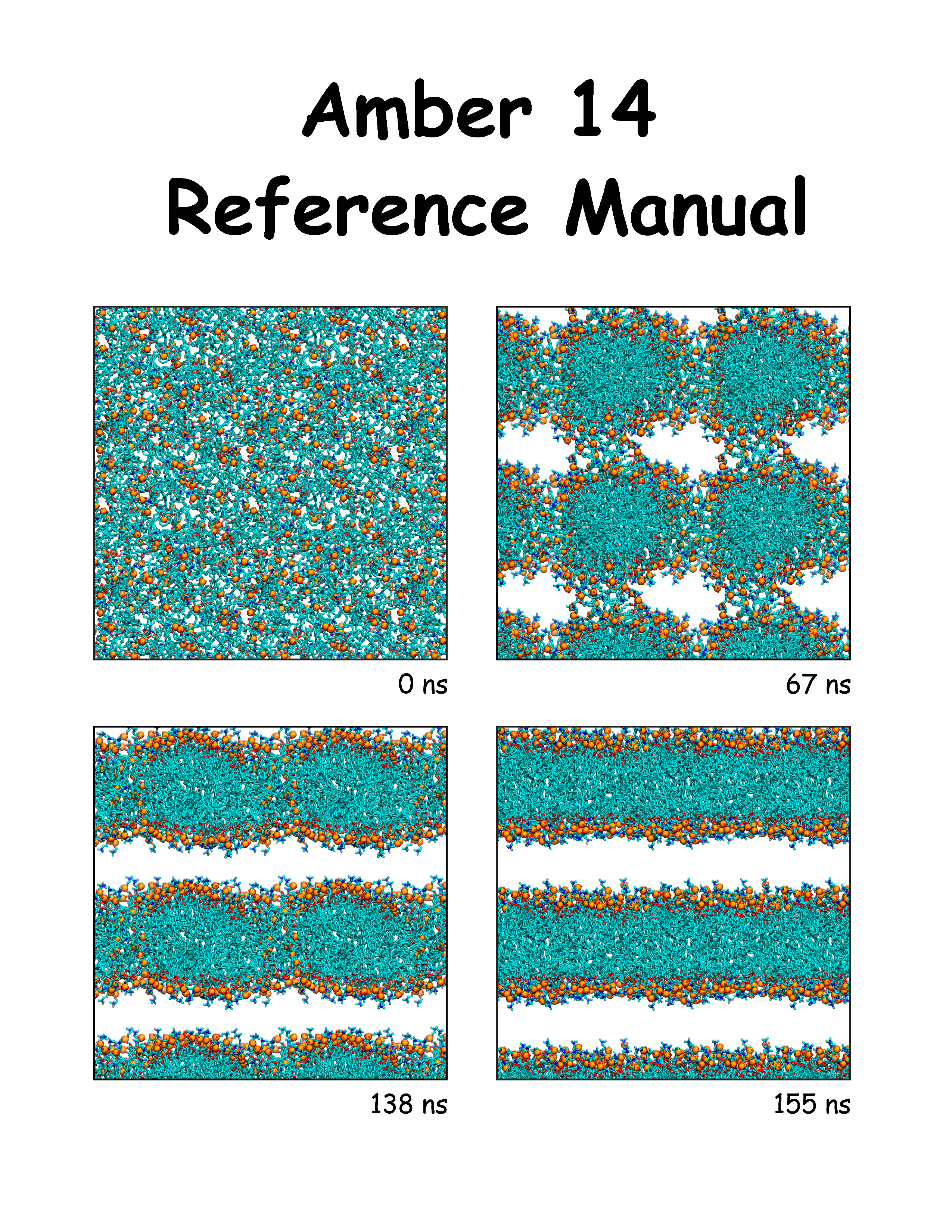 Amber Molecular Dynamics Software