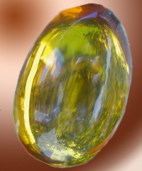 image of a piece of amber