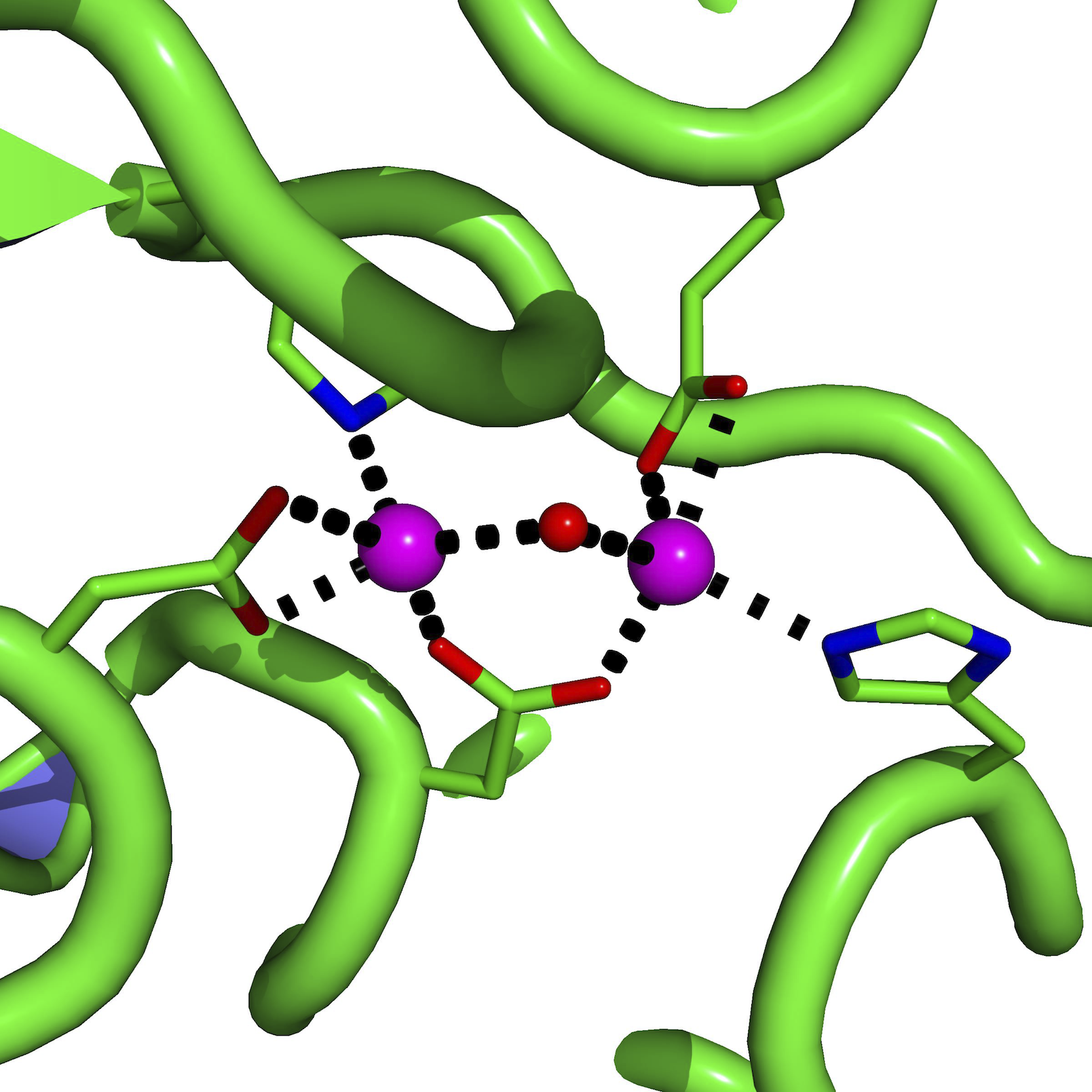 basic pymol tutorial