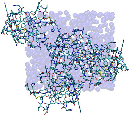 Solvated System