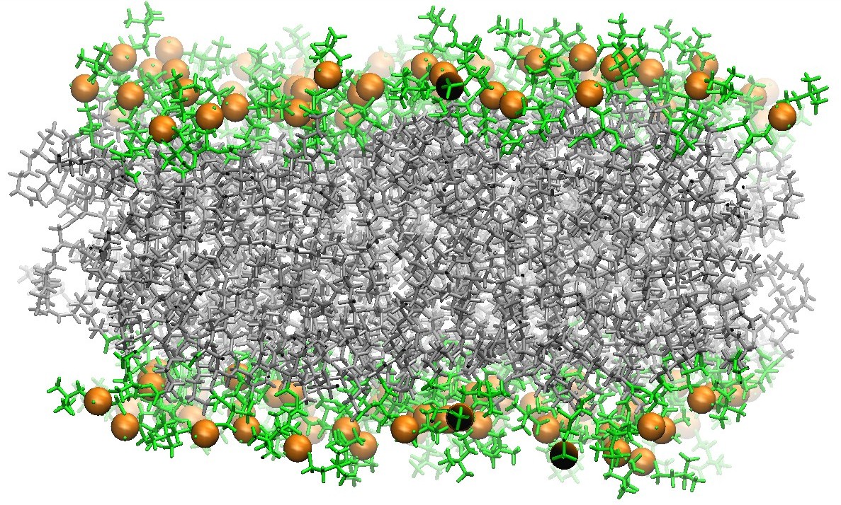 DOPC_128_Structure