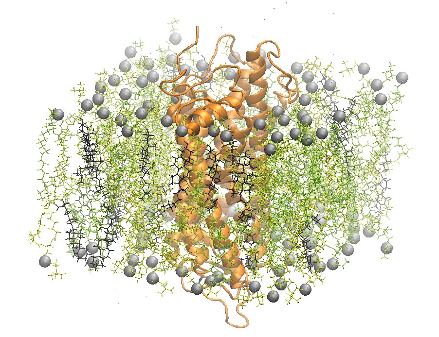 Rhodopsin_Isometric