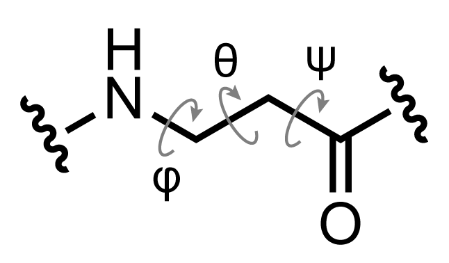 Definition of backbone torsion angles φ, θ, and ψ for the β-residue classes.