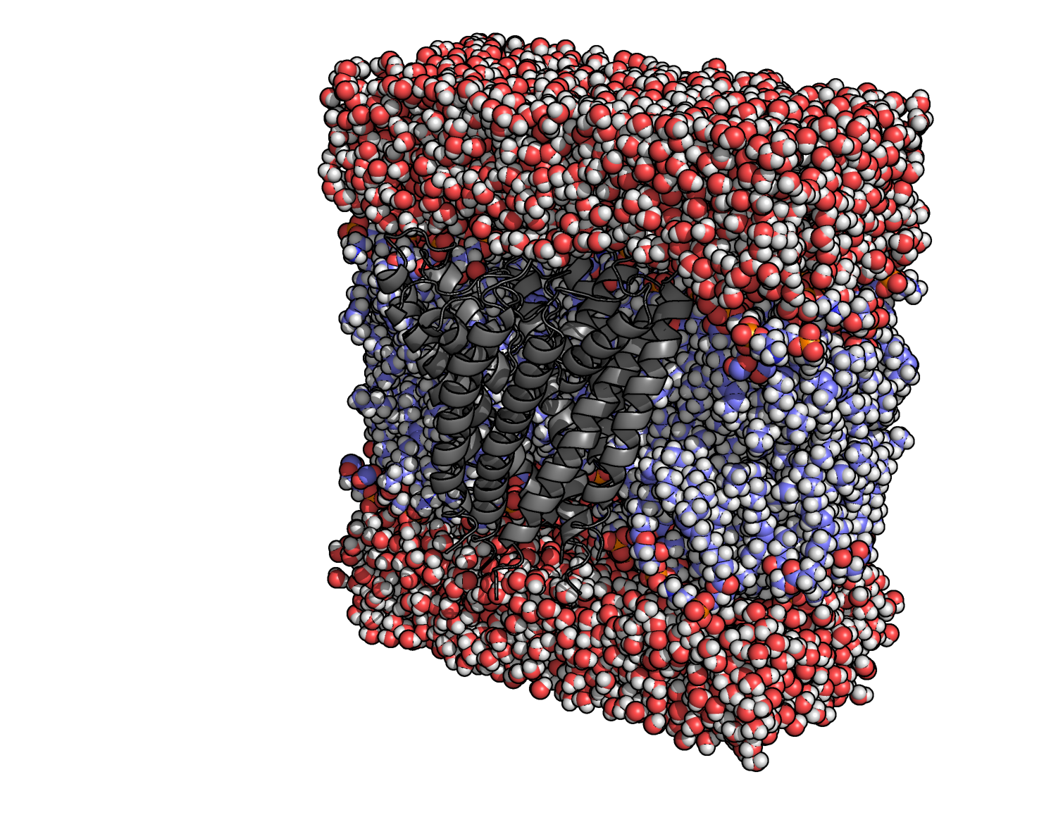 Lipid_Bilayer