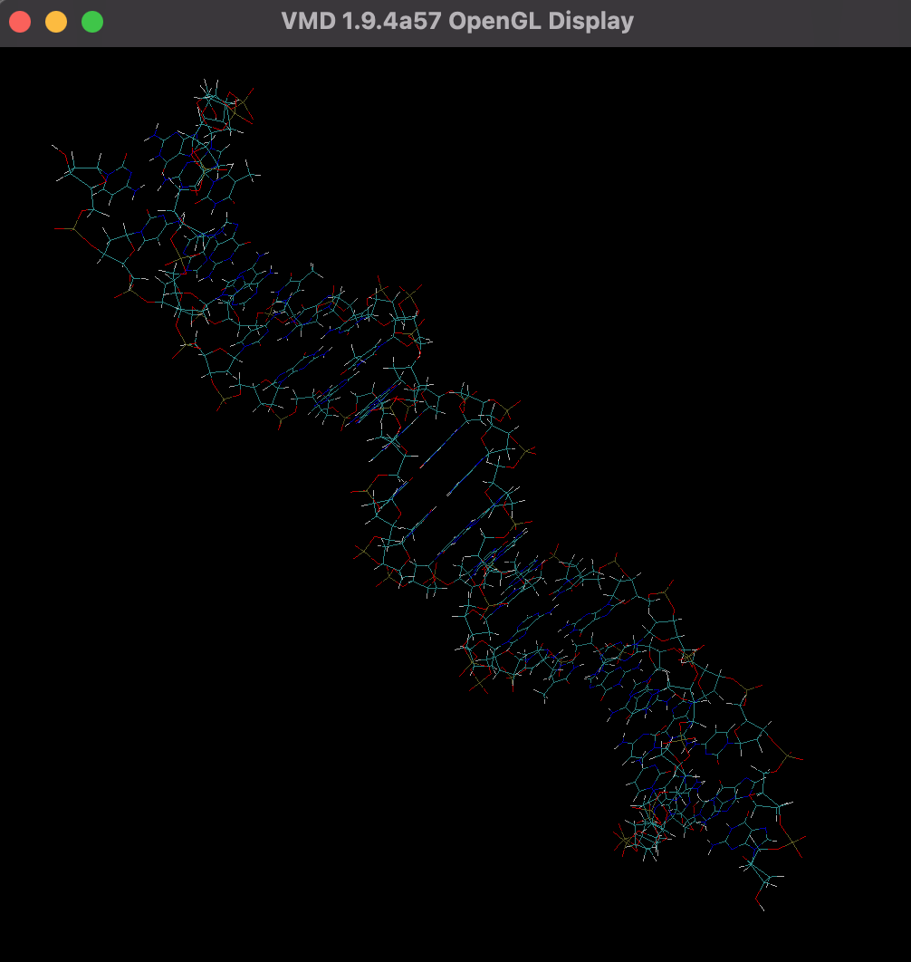 VMD OpenGL Window, showing DNA.